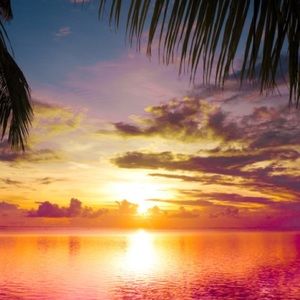 Meet your Posher, Maggie